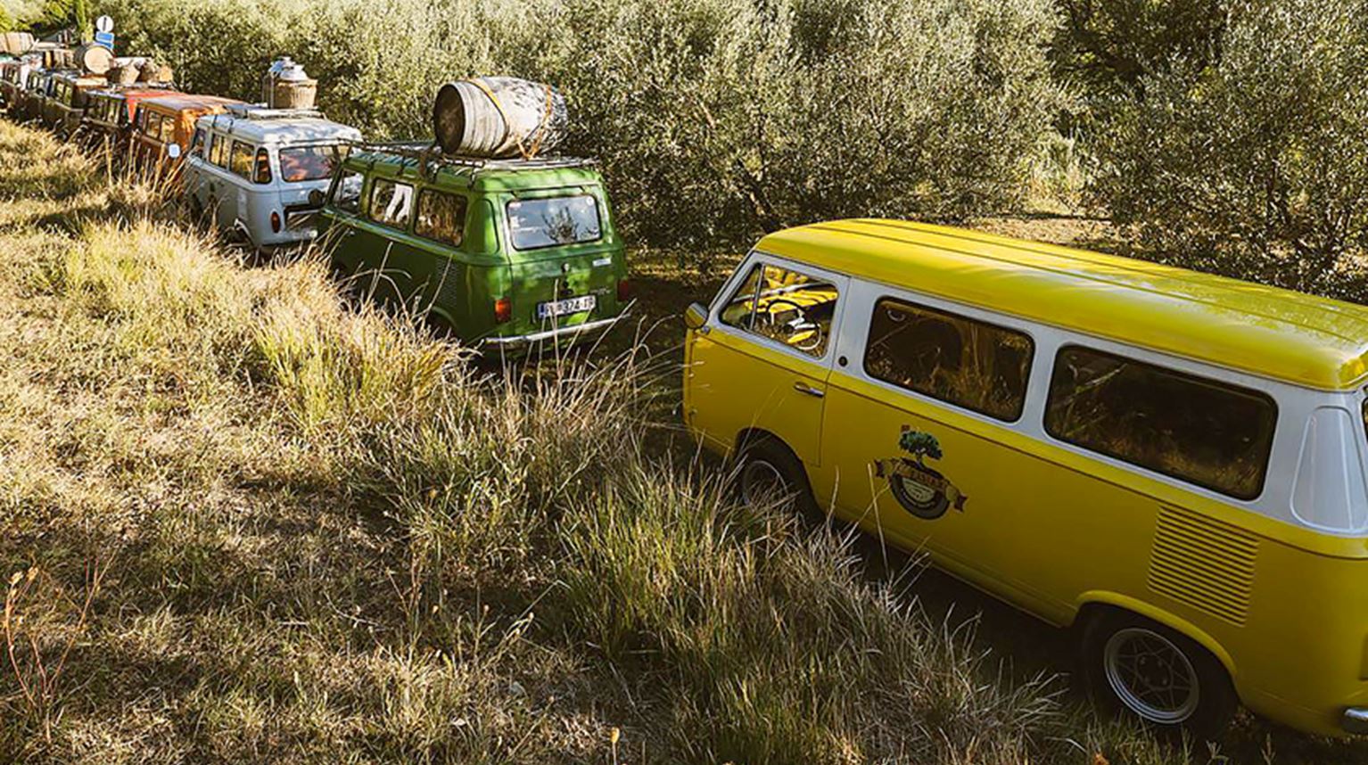Colourful vintage vans going through a green field.