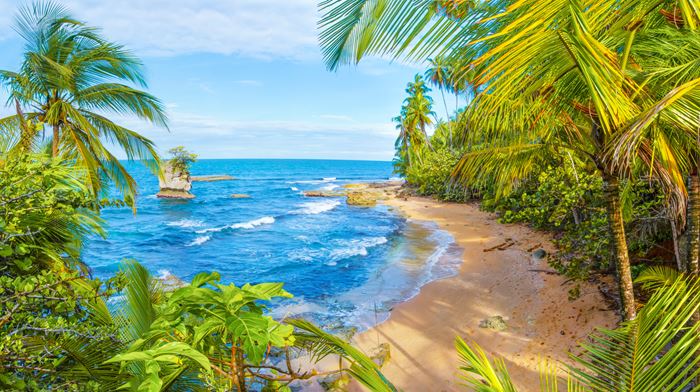 Manzanillo Beach Scenery of sea with palm tress and a beach in south Caribbean, Costa Rica 