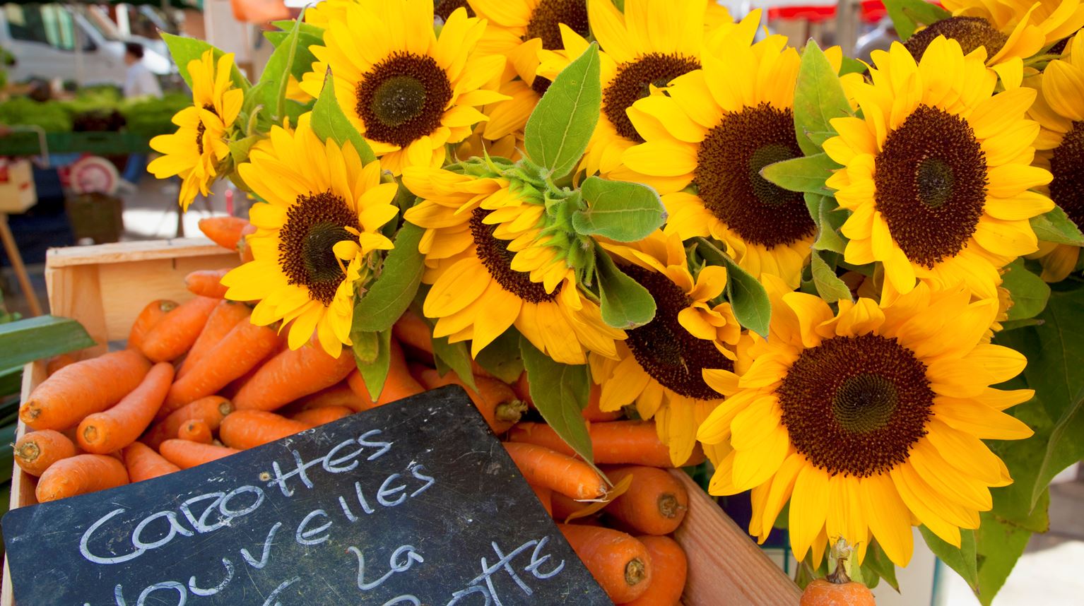 A bunch of sunflowers, carrots and price menu in Farmer's market in town square, Arles, Provence, France