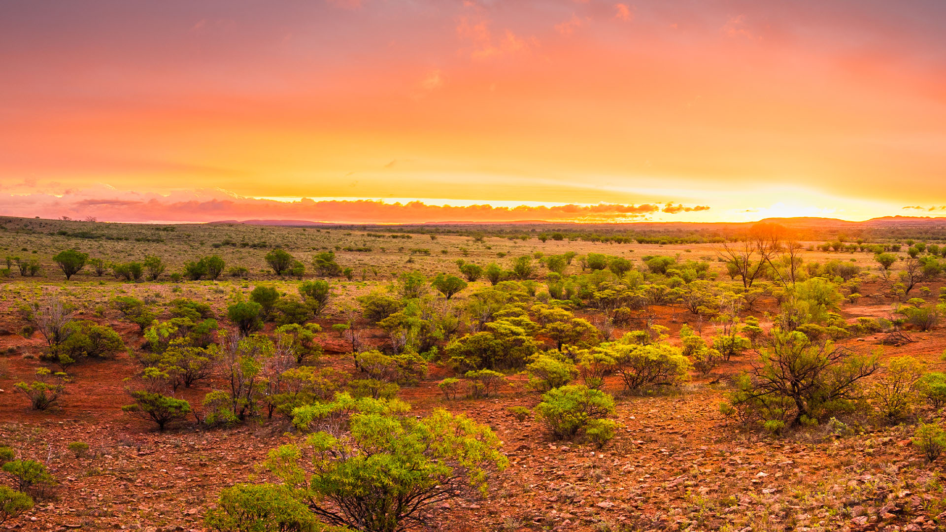 Must-see Australia: Cultural Gems and Natural Wonders