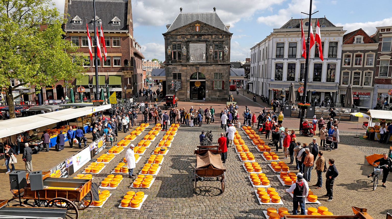 Rows of Gouda cheese at an outdoor market