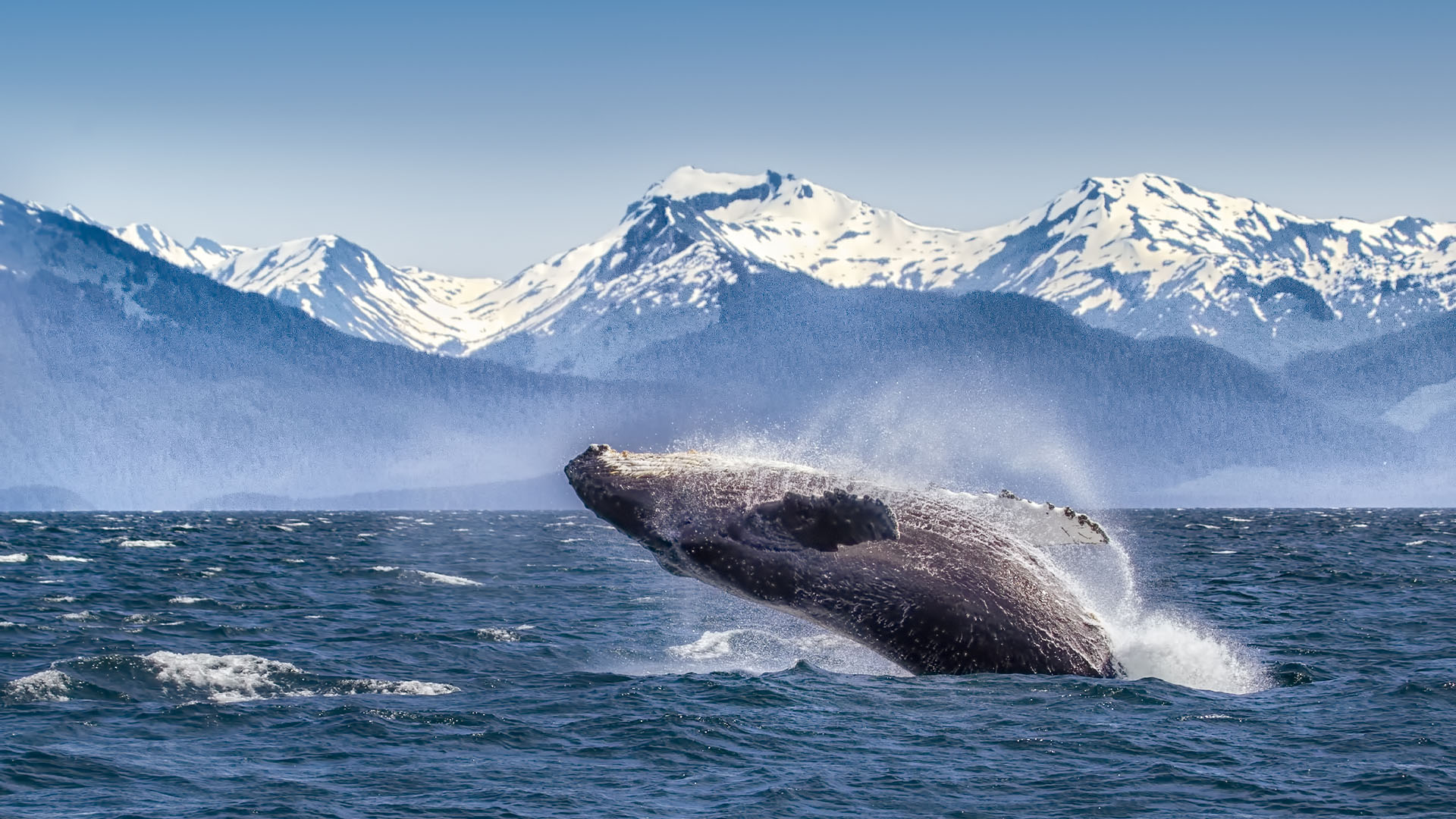 Glacier Bay, Alaska, United States
