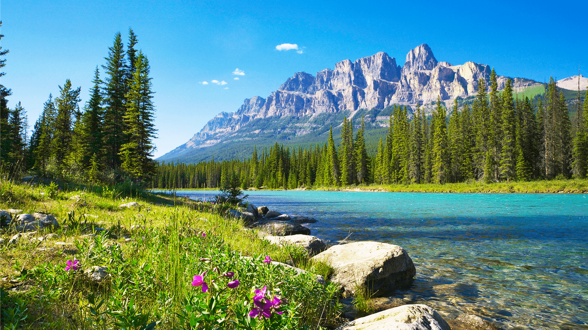 Bow River, Castle Mountain, Banff National Park 