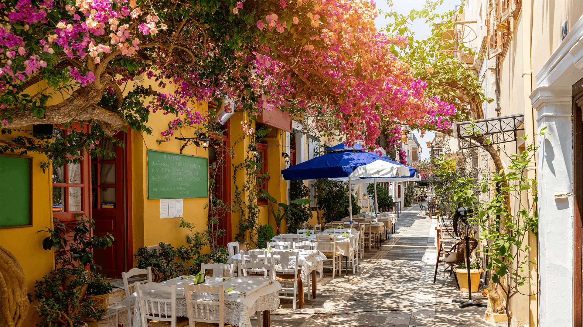 Restaurant patio tables in a narrow tree-lined alley