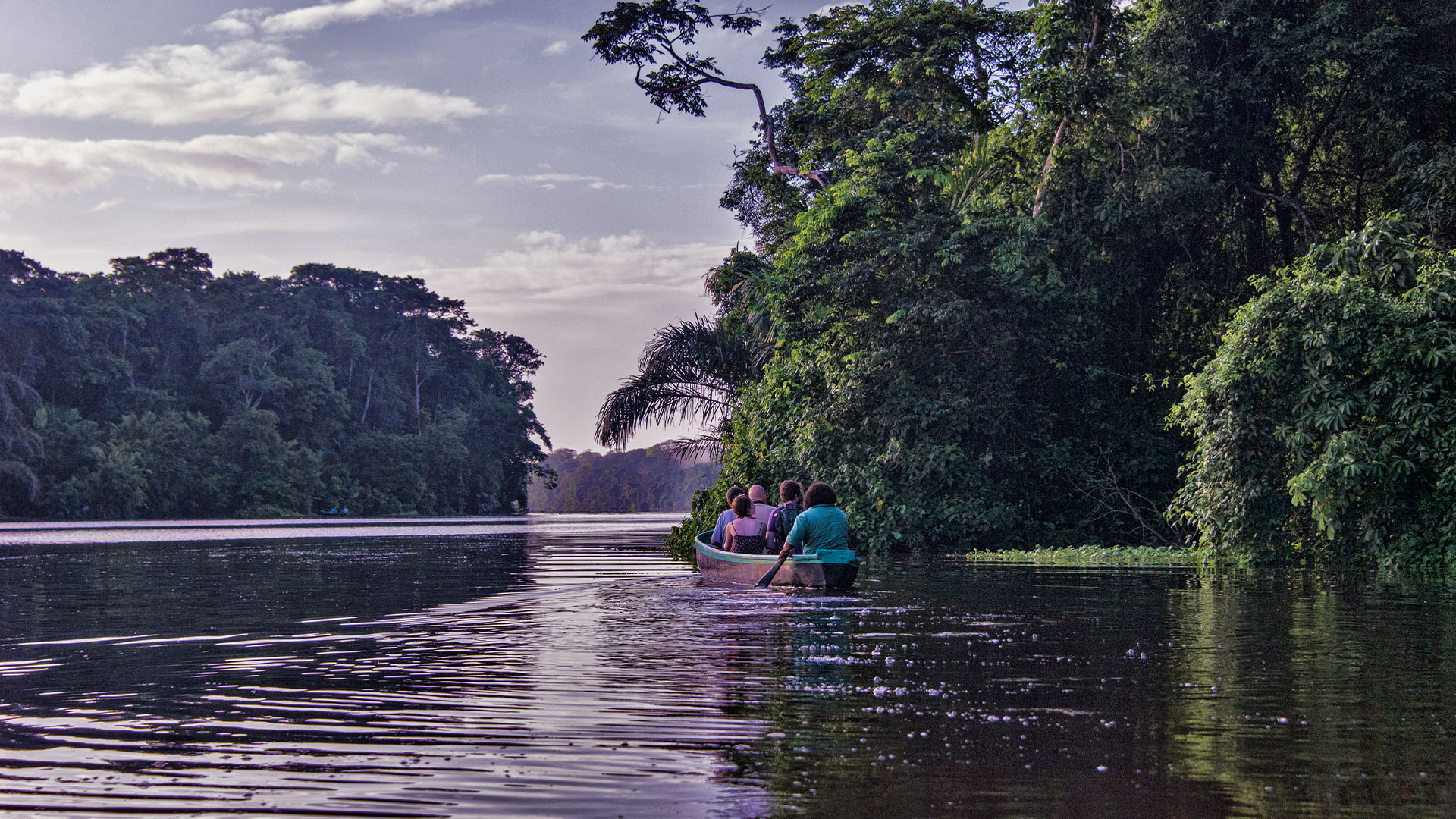 Four tourists canoeing on a jungle river. 