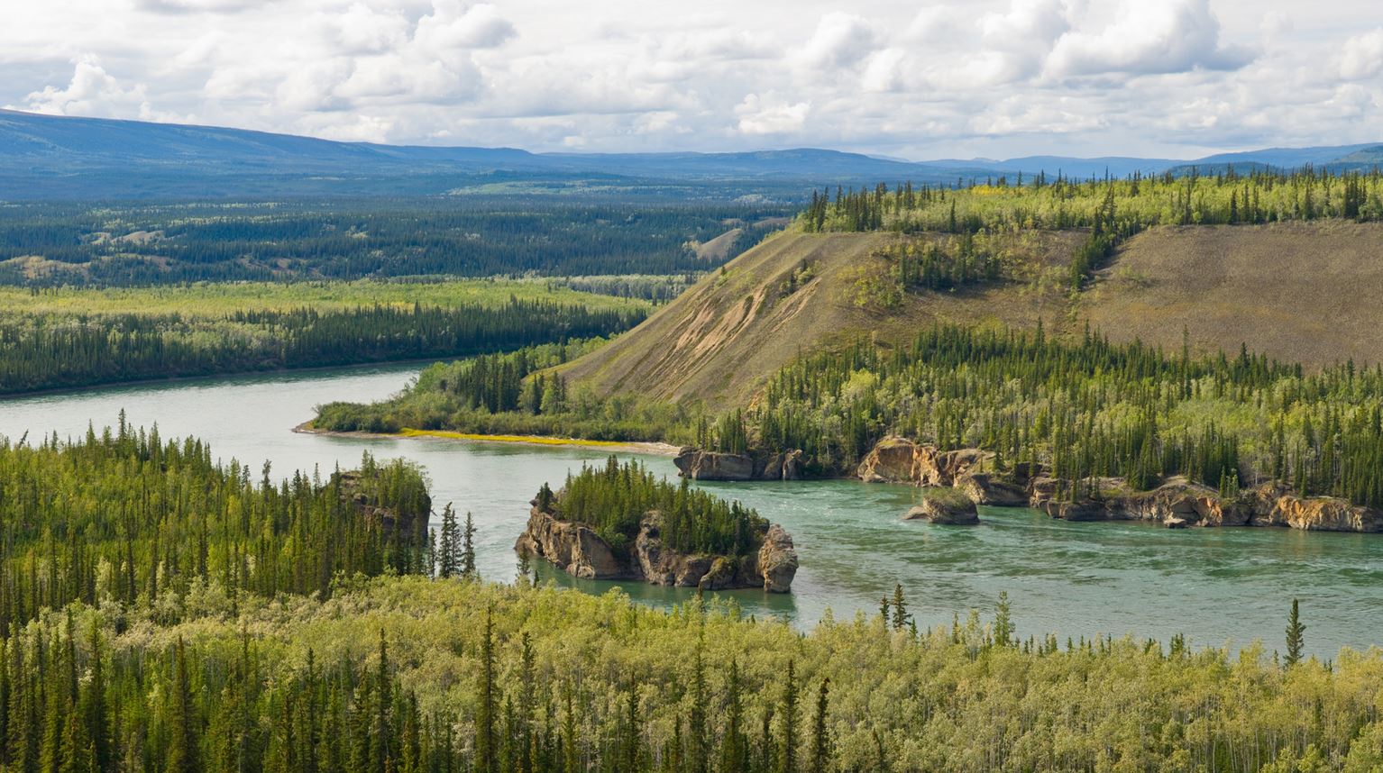 Yukon River with hills and forrests near Carmacks in Yukon Territory 