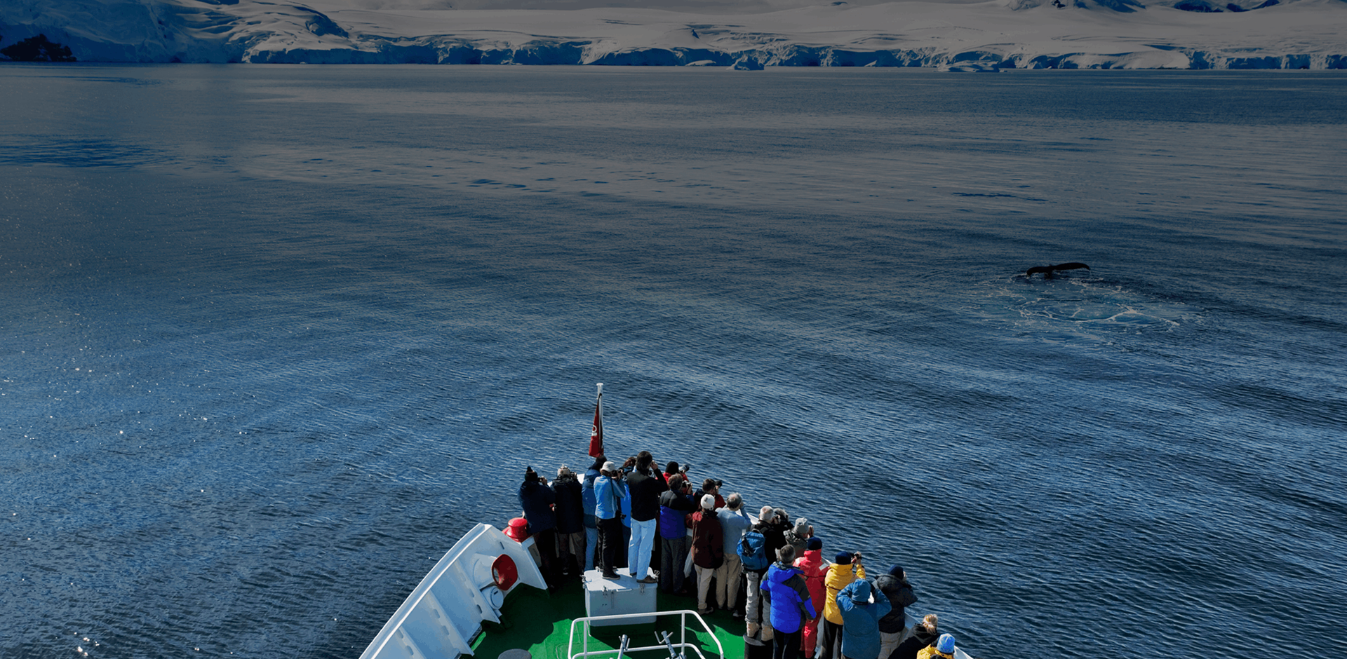 Tourists watching and photographing a whale from the deck of G.A.P Adventures MS Explorer cruise ship, Antarctica.