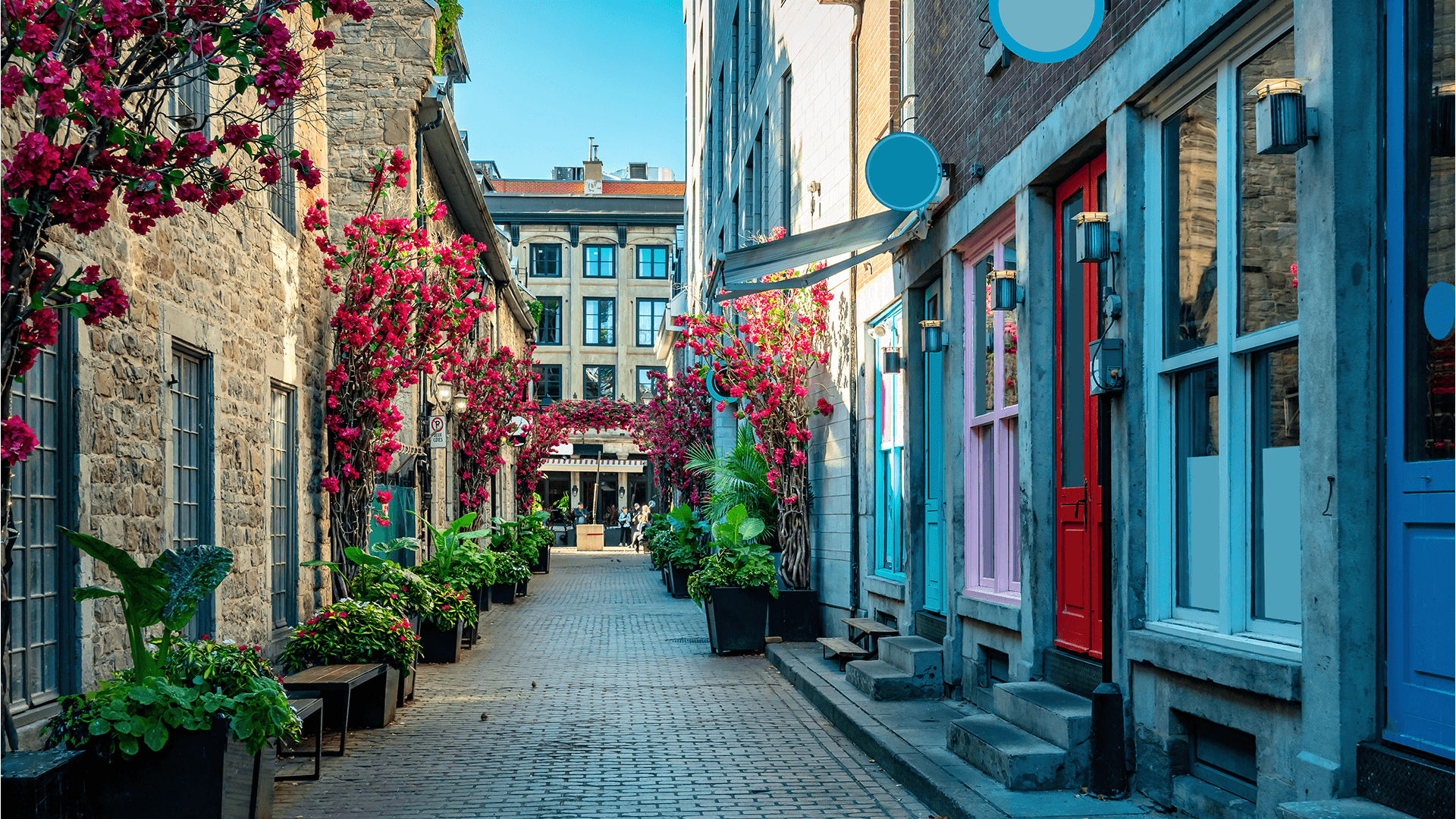 Colourful alley with flowerboxes and cobblestones