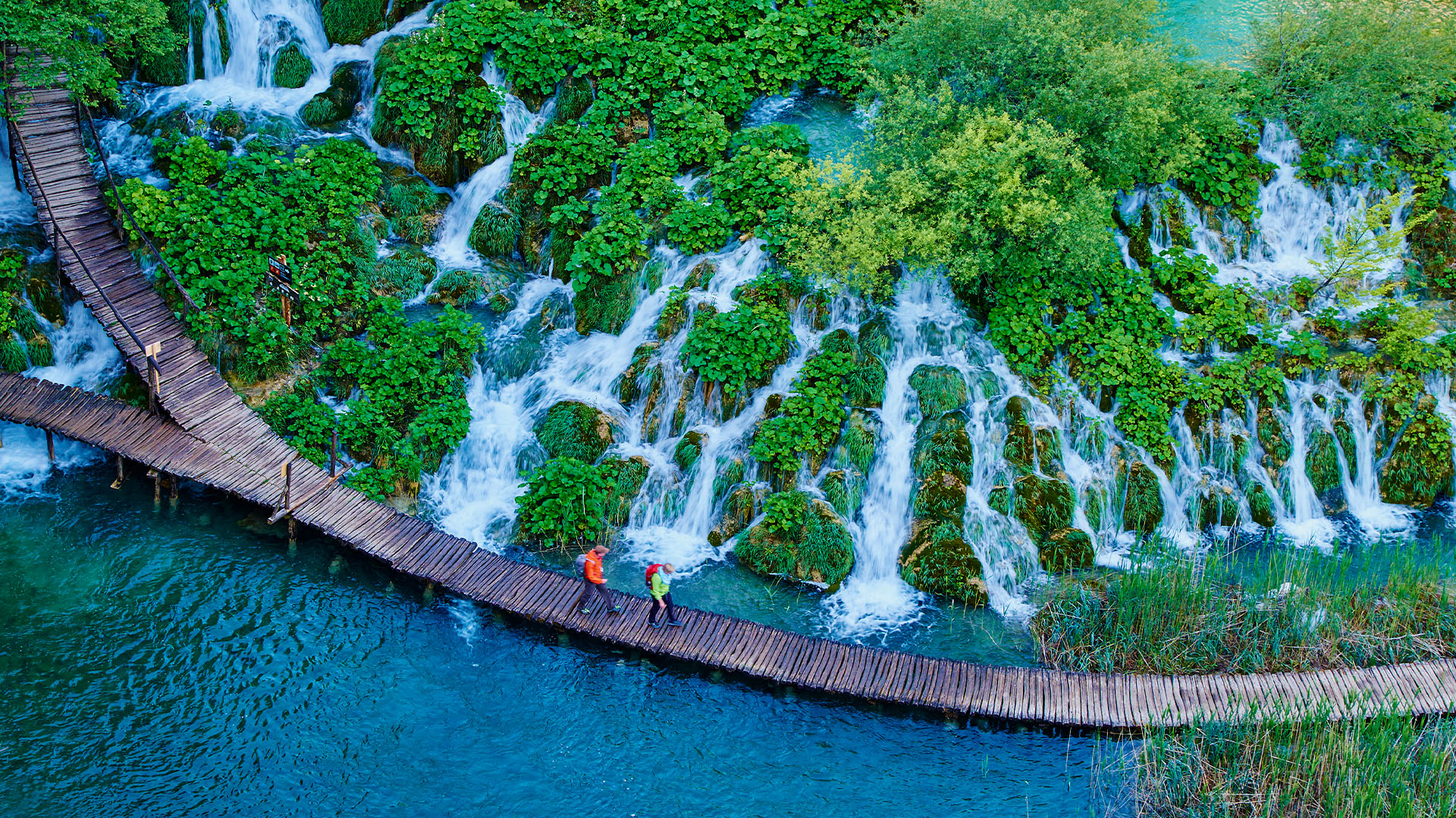 Two hikers walking in a lush forest with waterfalls