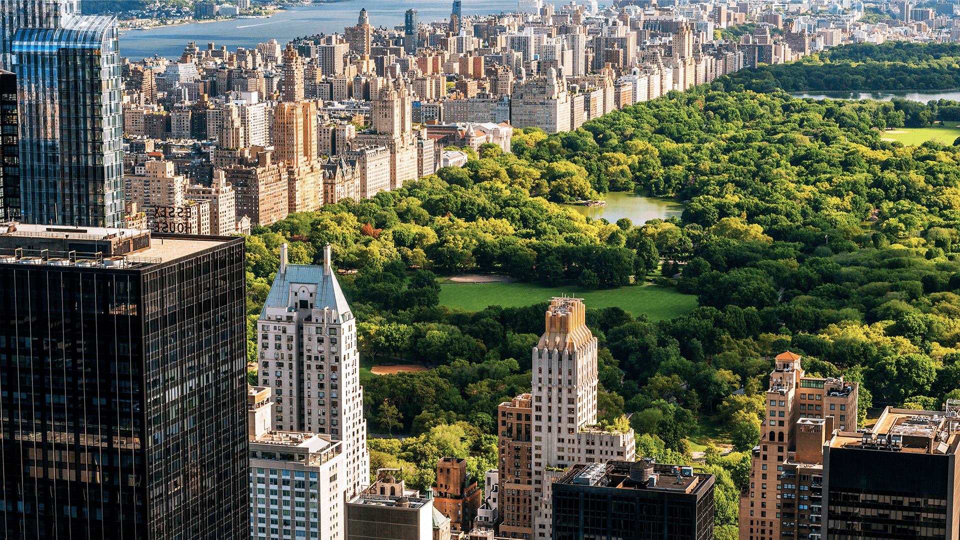Aerial view of Central Park surrounded by New York City