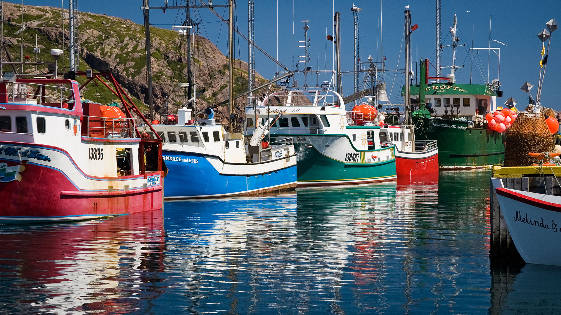 A row of fishing boats docked in St. John’s Harbour. 