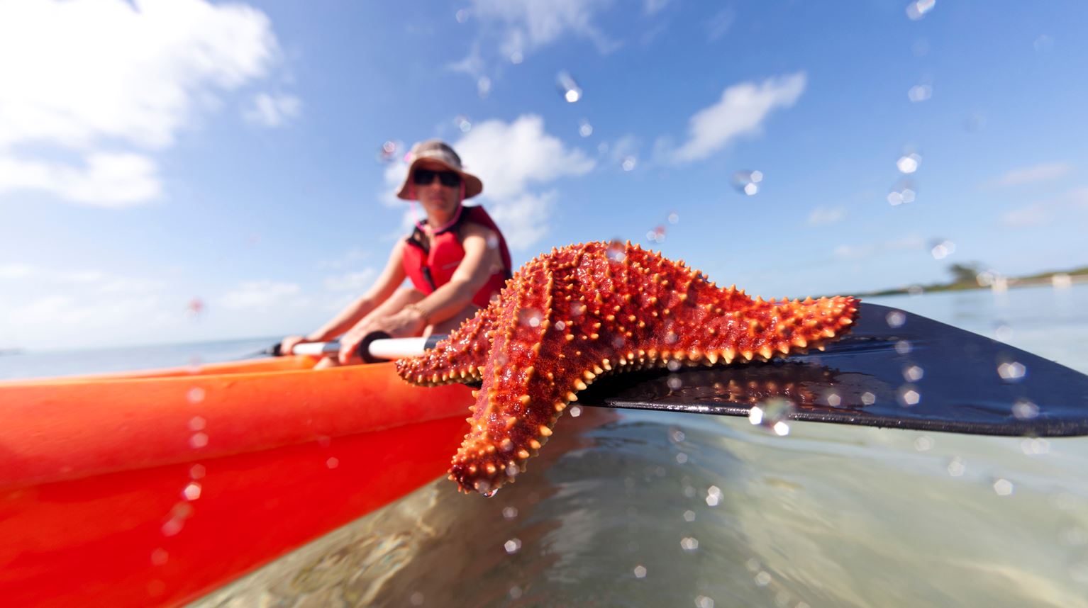 Traveller in a canoe in shallow waters with a starfish on the paddle.
