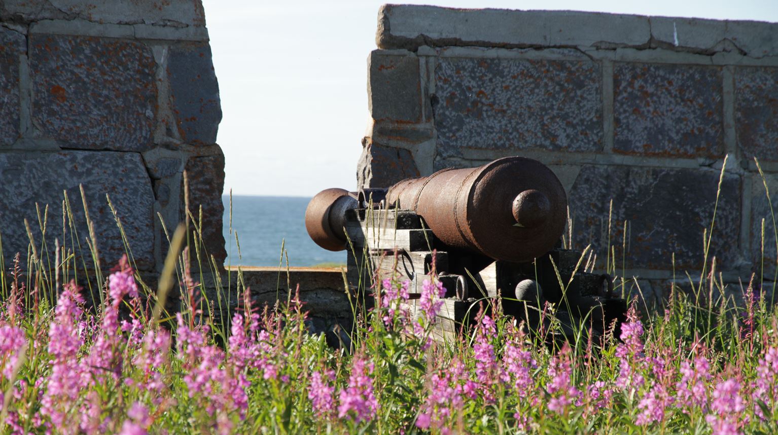 Prince Wales Canon facing water from an old wall and a flower field.