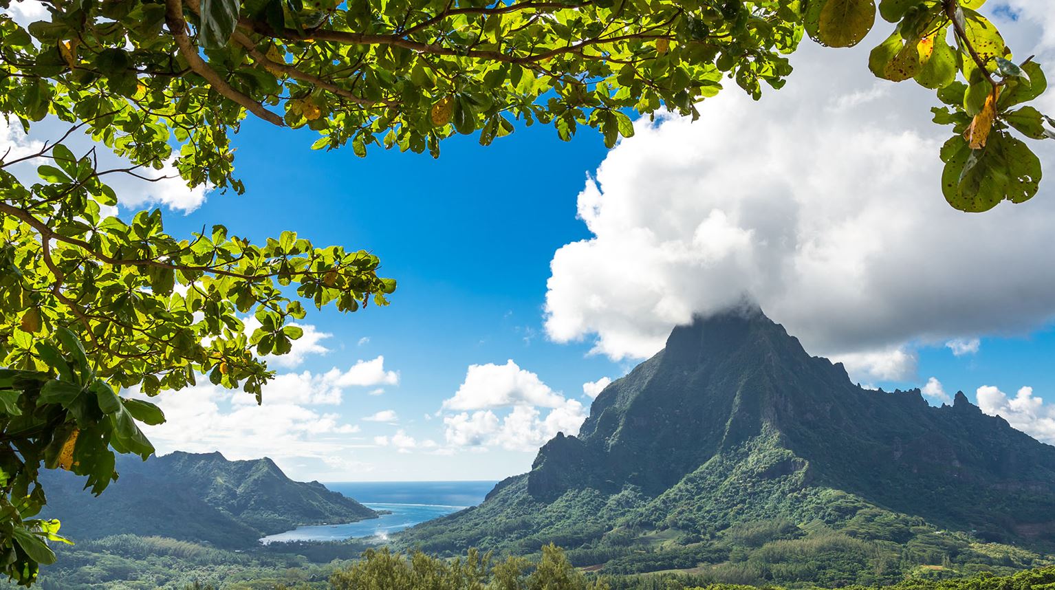 Panorama view of Opunohu Valley, Moorea, French Polynesia