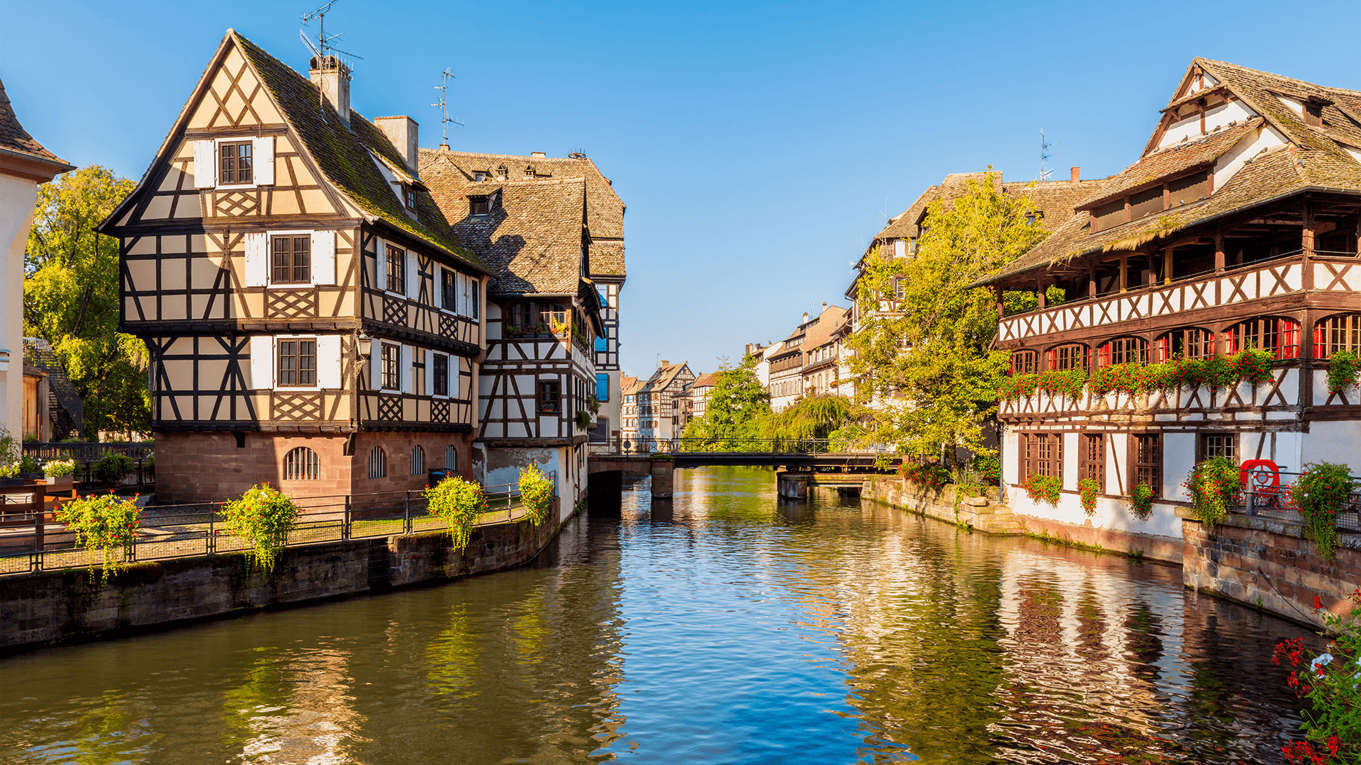 Half-timber houses reflected in a canal in Strasbourg