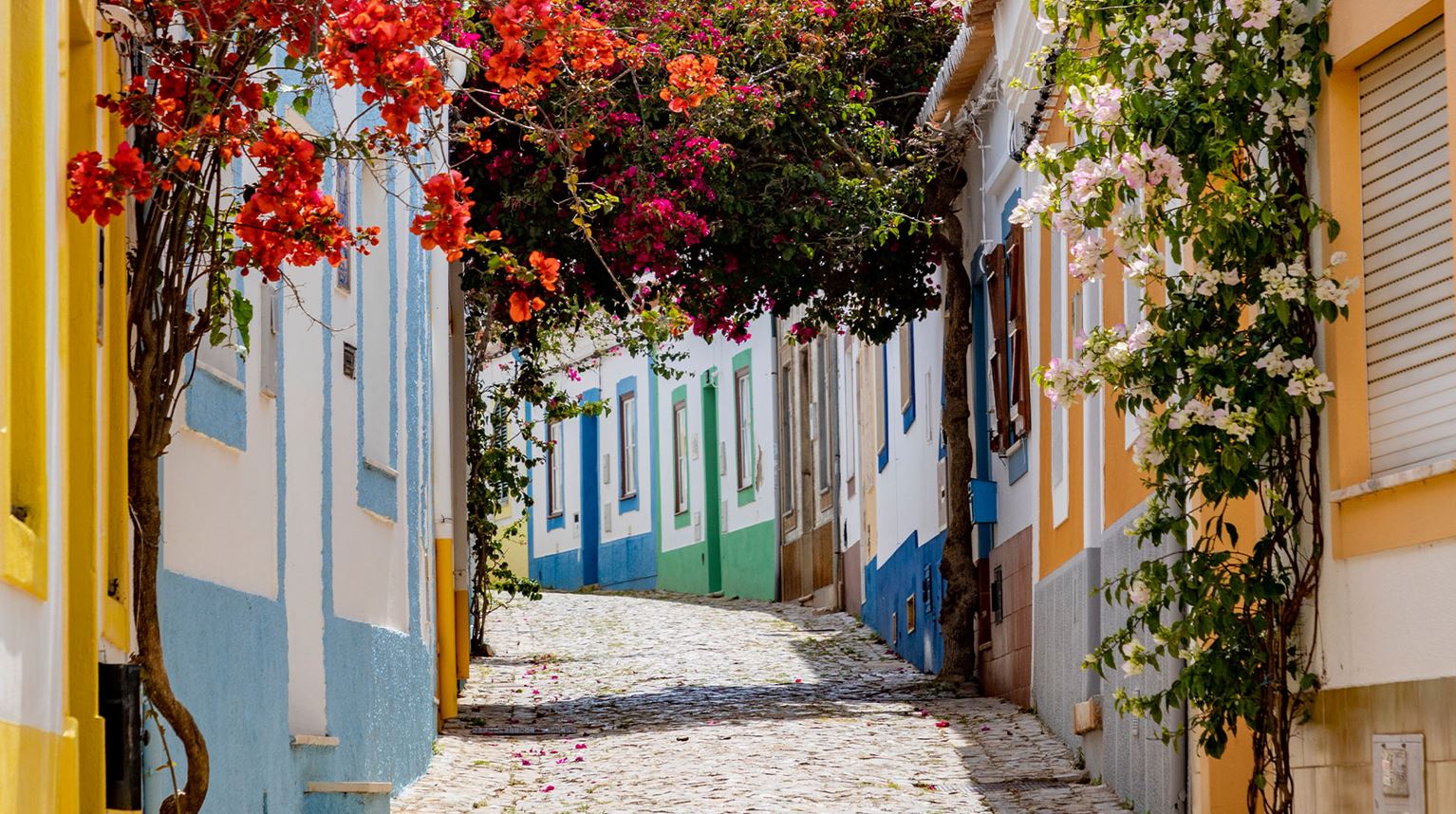 Narrow alley with colourful houses and flowers in Algarve, Portugal