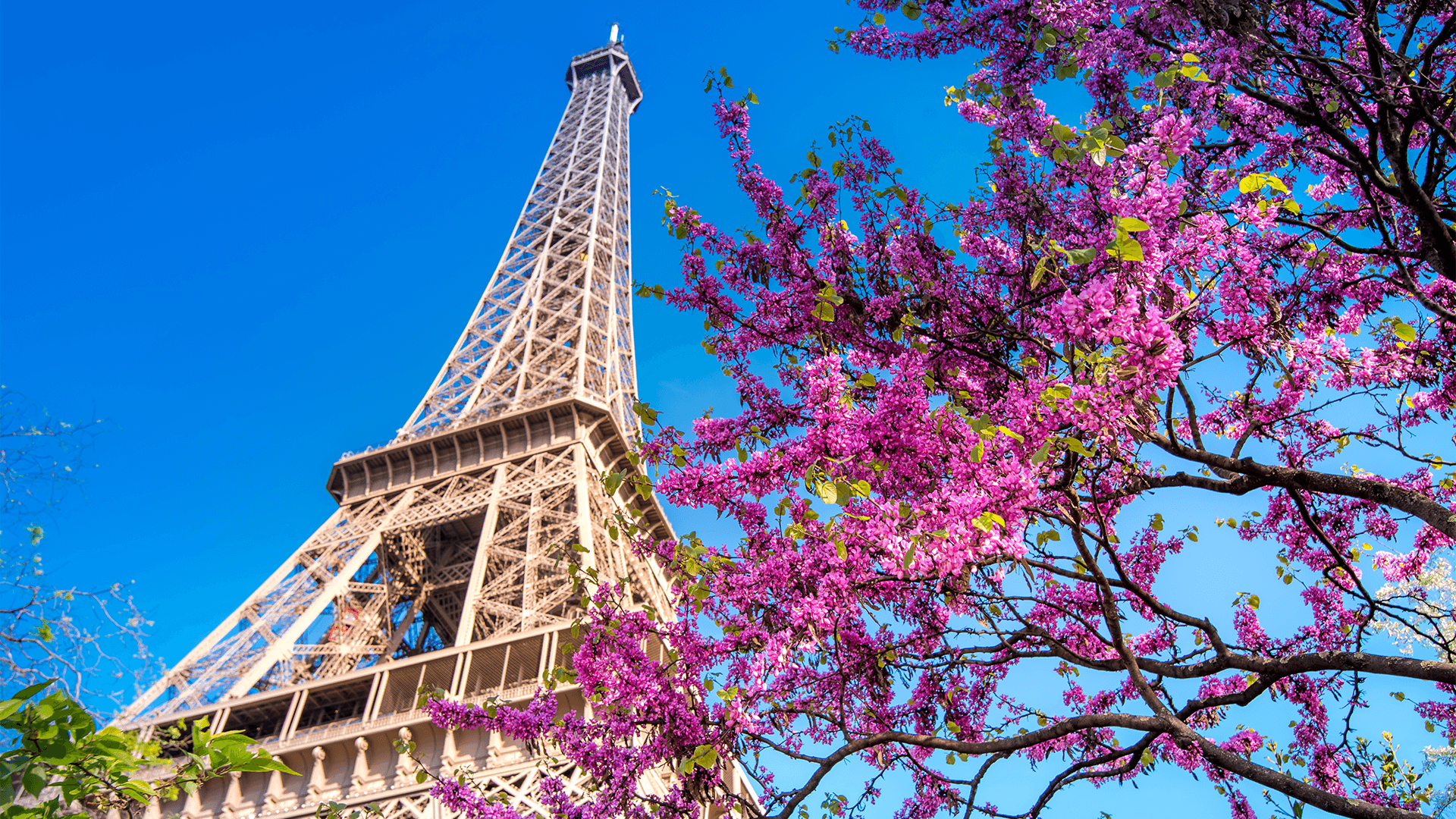 Eiffel Tower