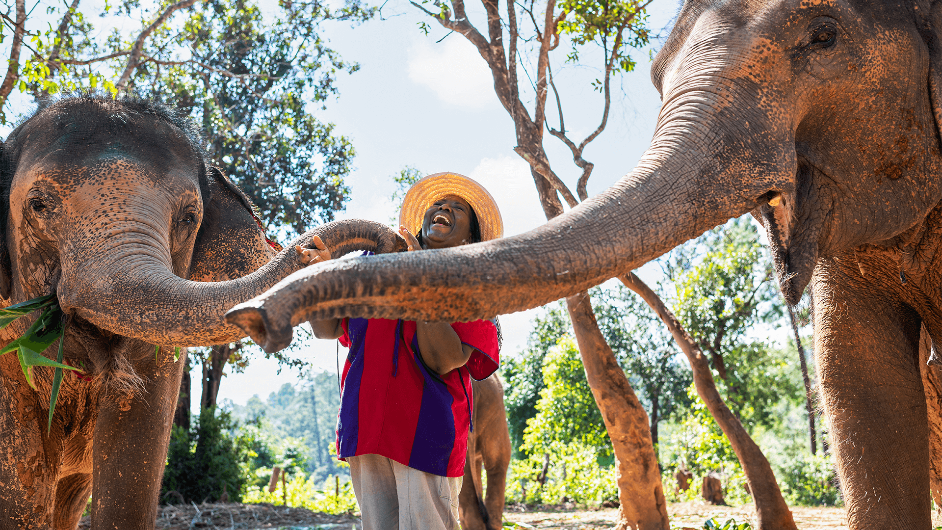 Ethical Elephant Sanctuary Visit